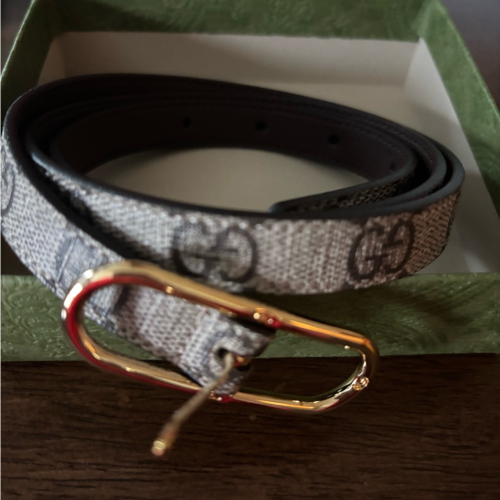 Gucci Women’s Belt in Gray with Gold Buckle